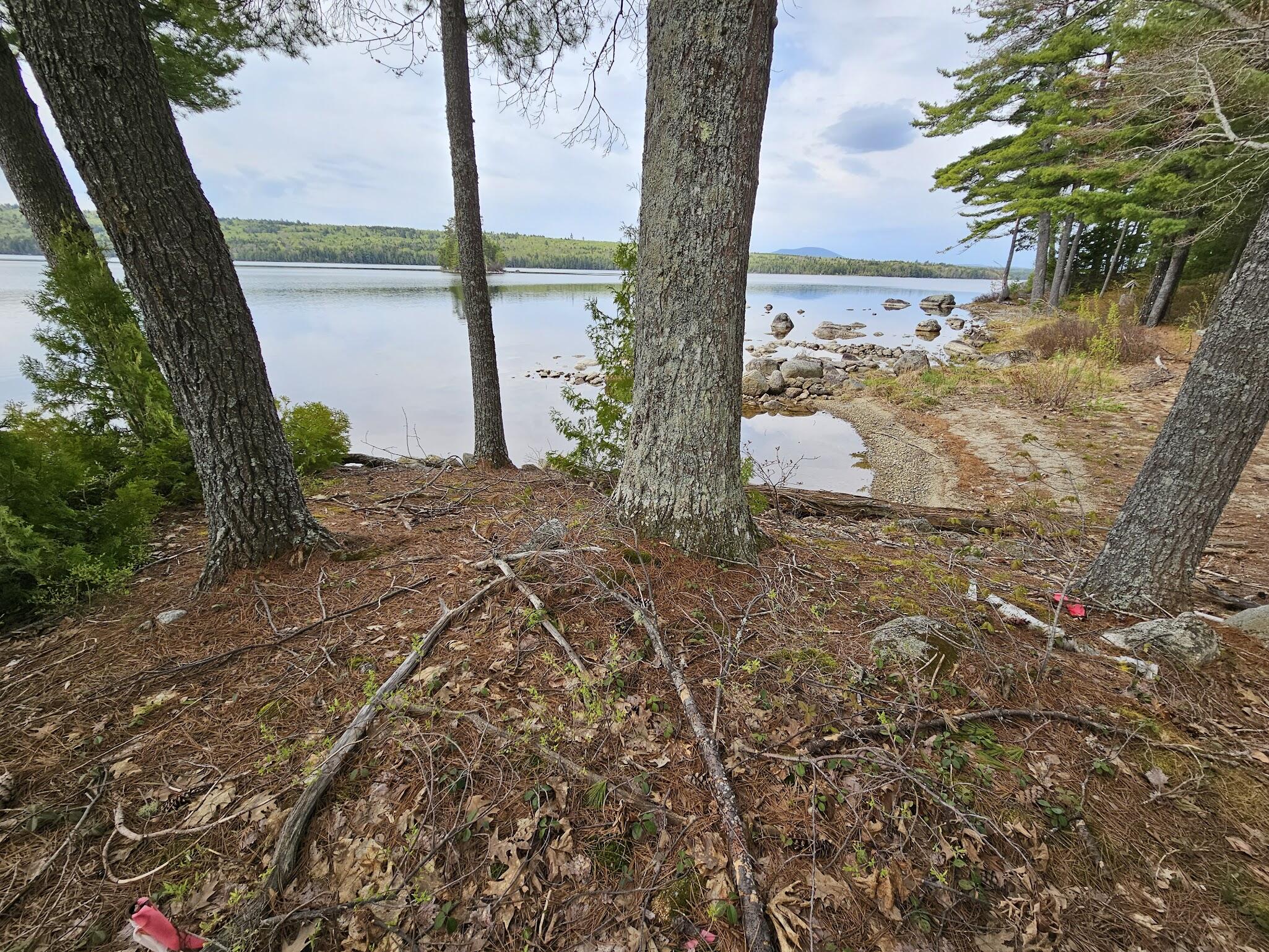 20 Granite Grove Millinocket, ME 04462 - Photo 51 of 63 Another View...