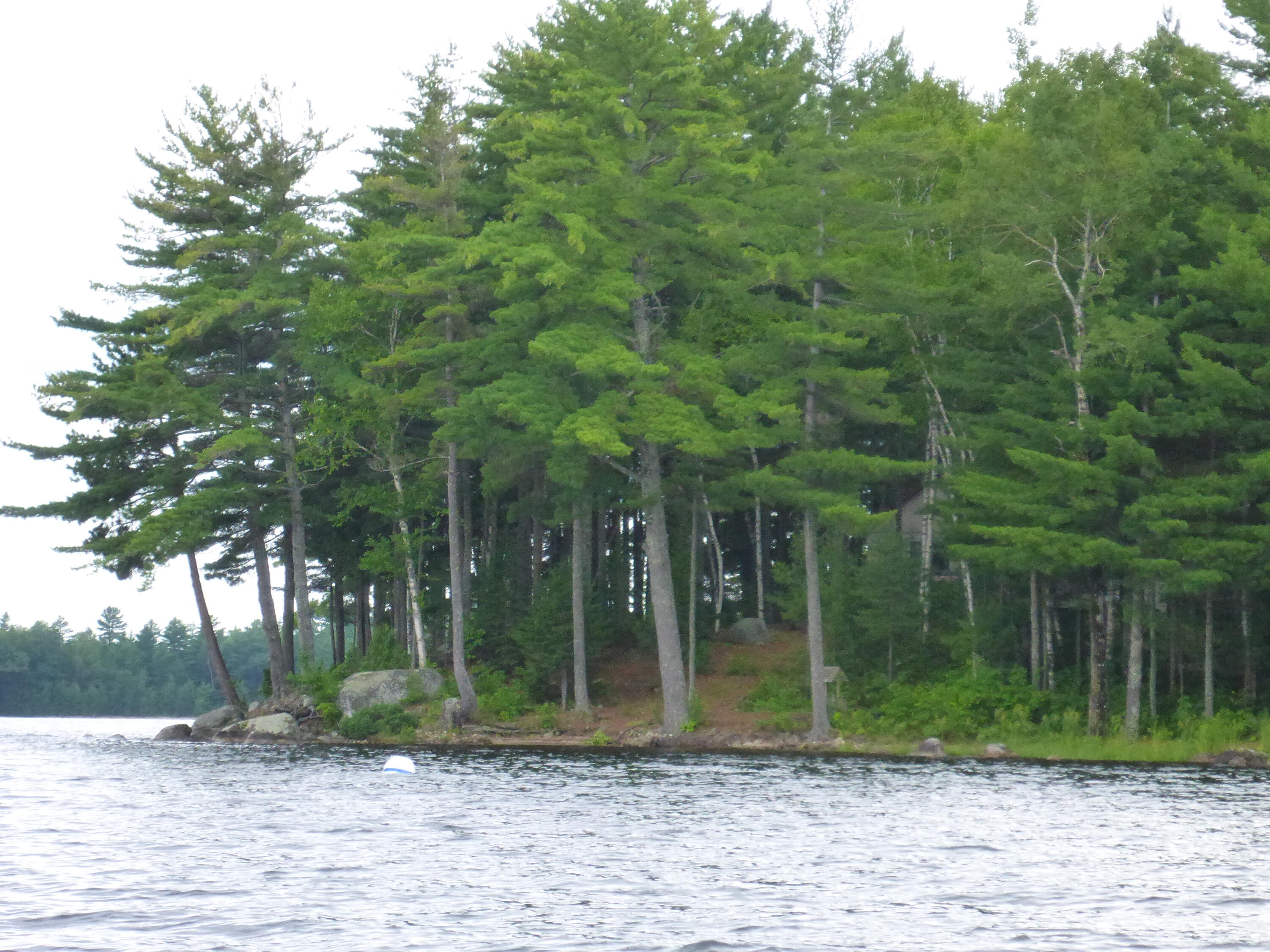 20 Granite Grove Millinocket, ME 04462 - Photo 53 of 63 Along the shore from the lake...