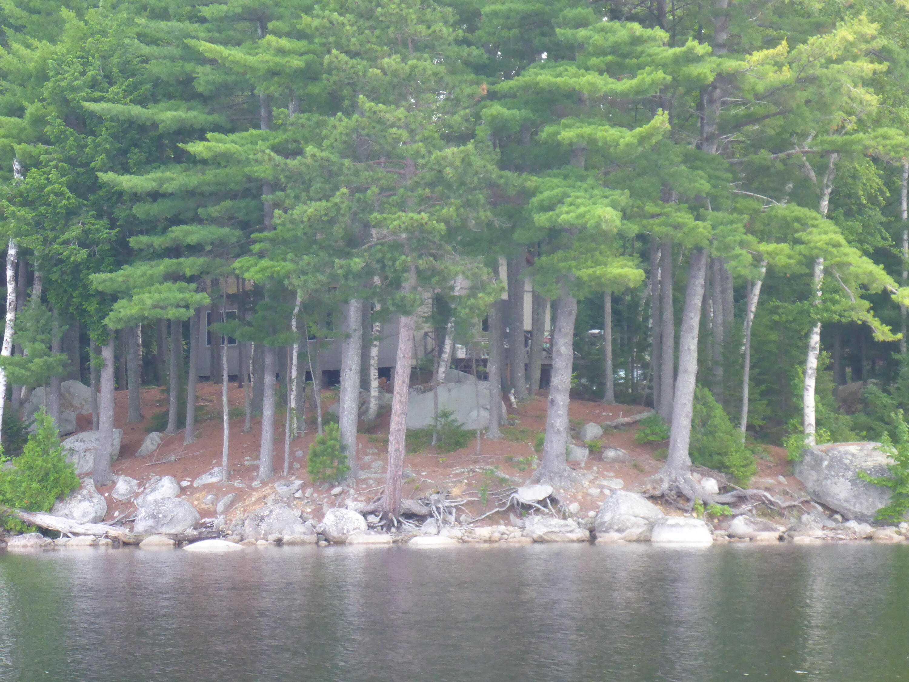 20 Granite Grove Millinocket, ME 04462 - Photo 55 of 63 Cottage amongst mature softwoods...