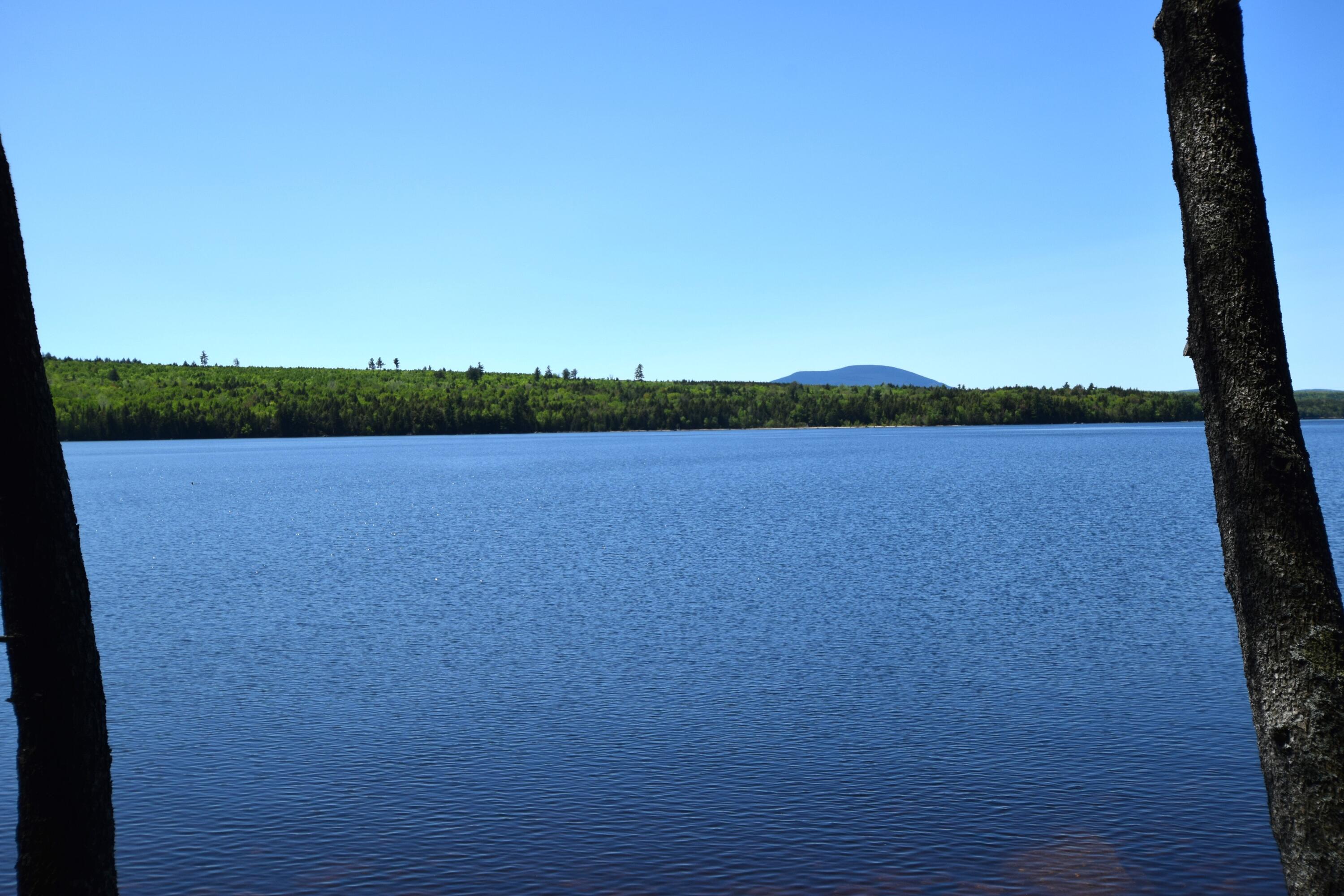 20 Granite Grove Millinocket, ME 04462 - Photo 59 of 63 Jo-Mary Mountain in the Distnace...
