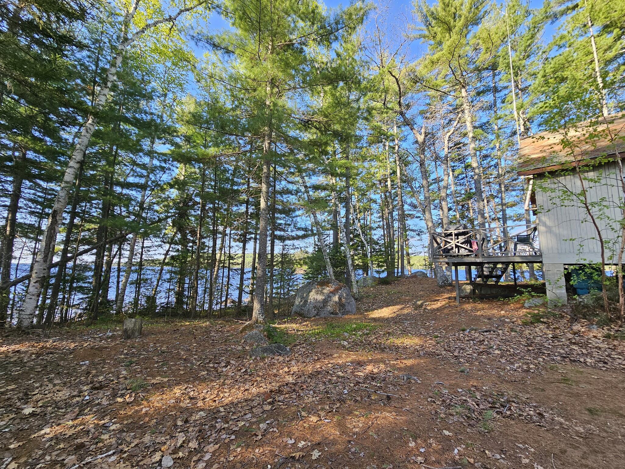 20 Granite Grove Millinocket, ME 04462 - Photo 9 of 63 Mature softwoods...