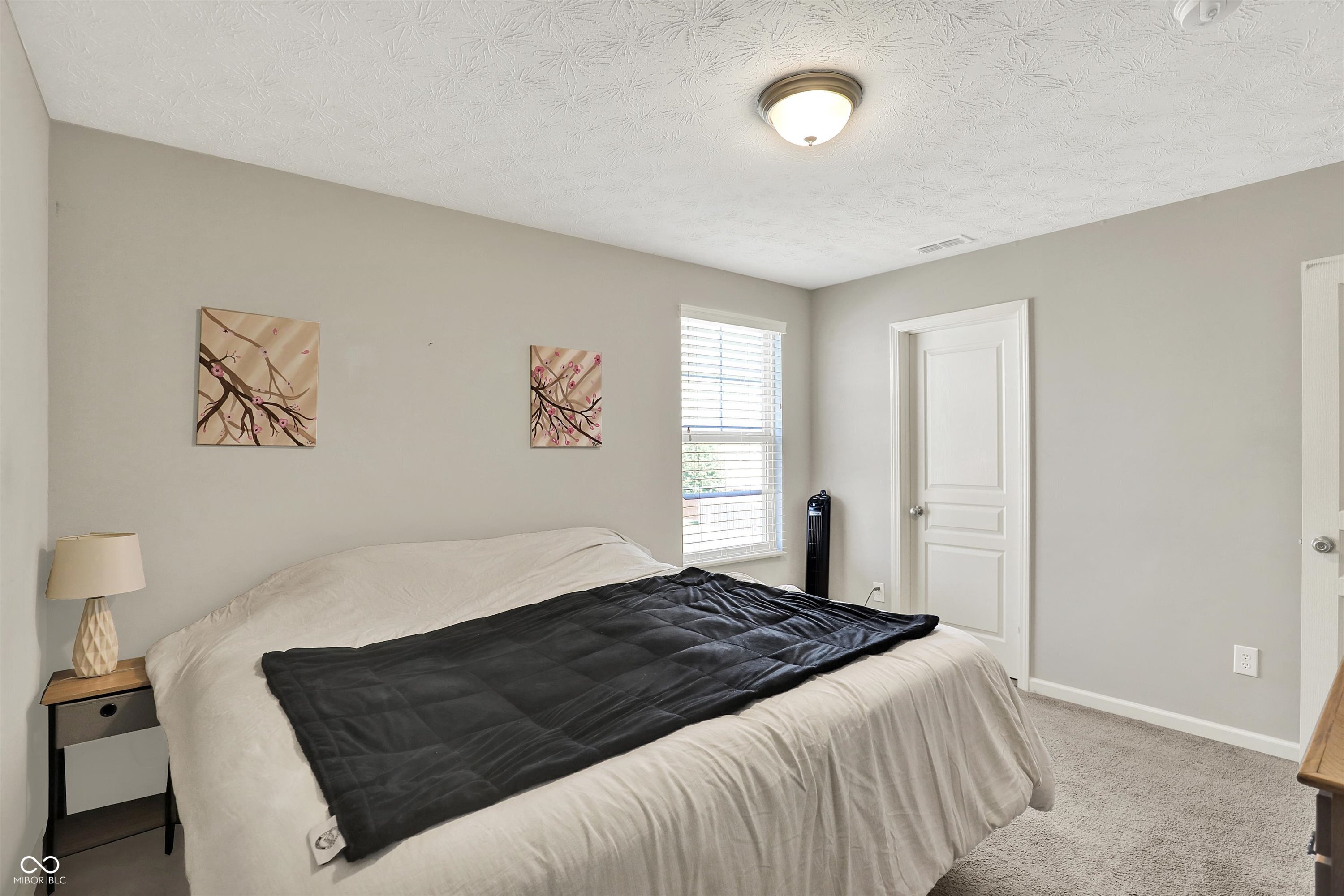 4596 Peabody Way Westfield, IN 46062 - Photo 42 of 60