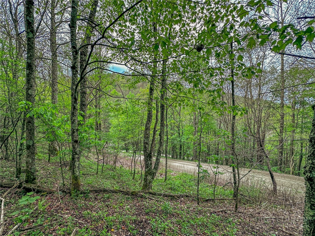 Silverleaf Road Zionville, NC 28698 - Photo 18 of 25