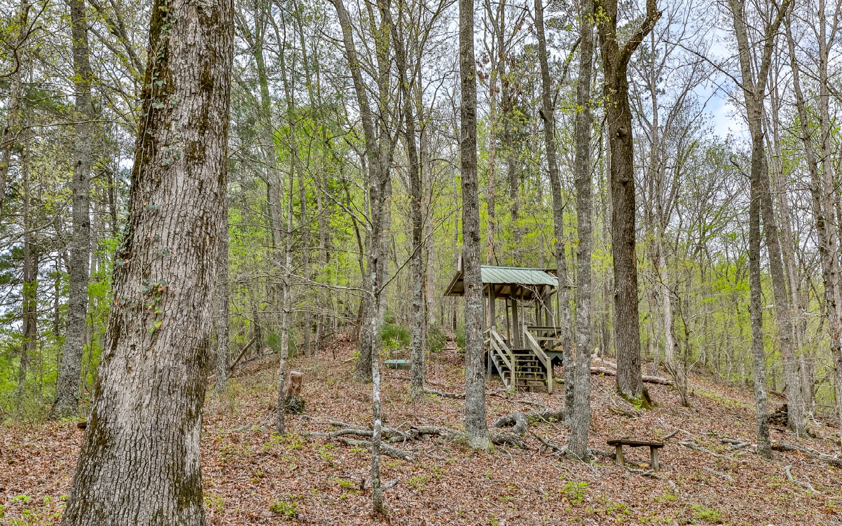 621 Grouse Court Ranger, GA 30734 - Photo 53 of 61 Additional View