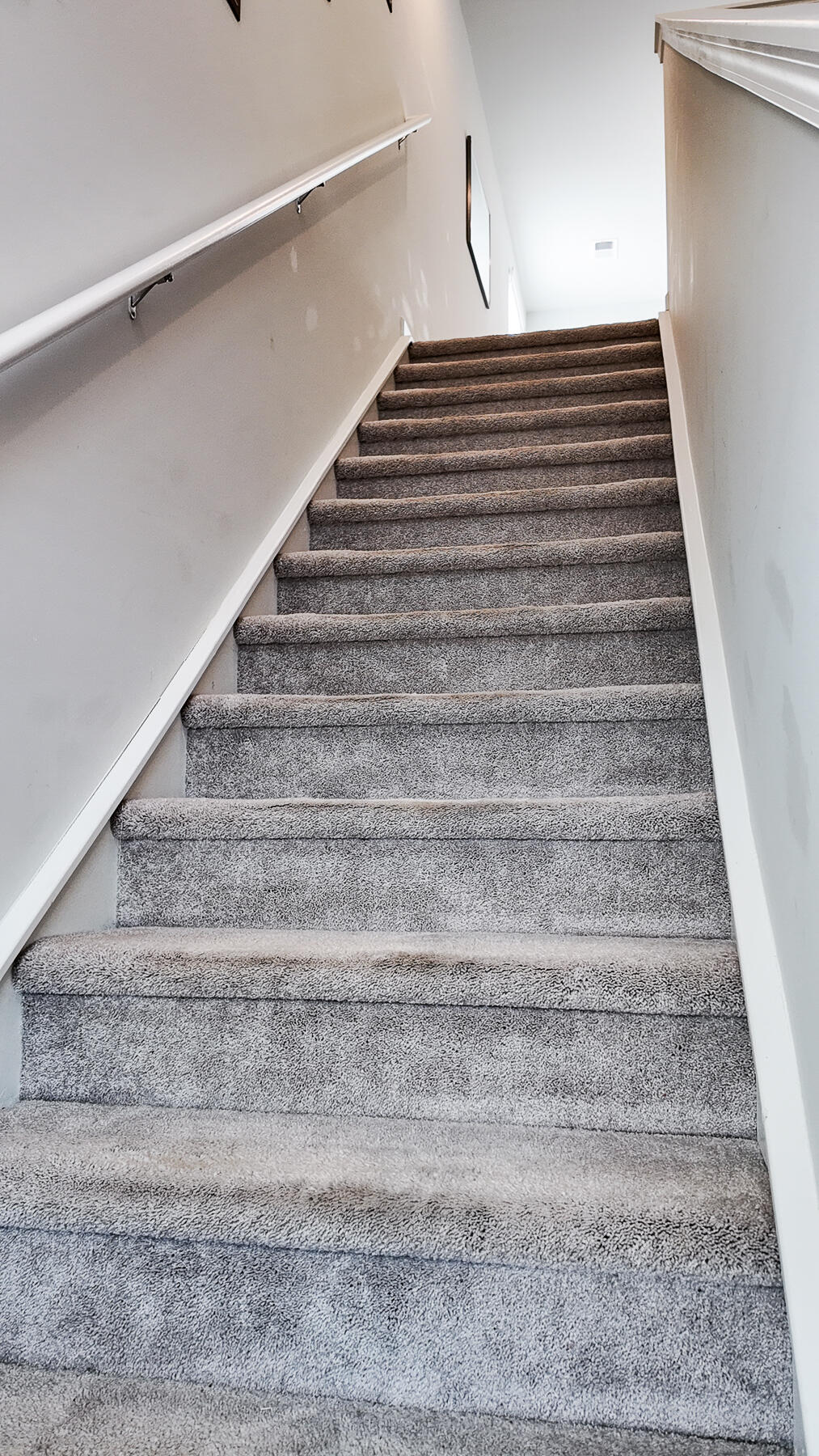 496 Minim Street Charleston, SC 29414 - Photo 18 of 40 CB-77