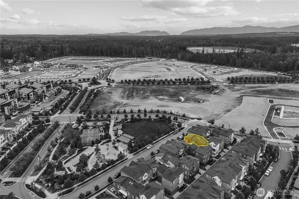 a view of swimming pool of water with lawn chairs and large trees