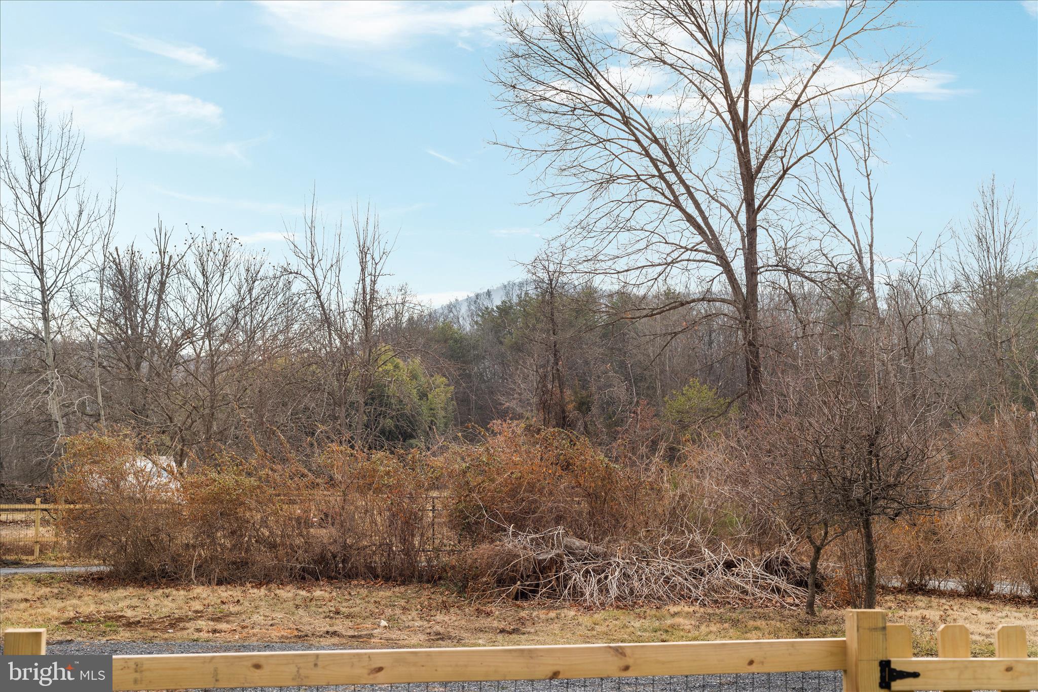 5655 Strasburg Road Strasburg, VA 22657 - Photo 47 of 85 a view of a yard with trees