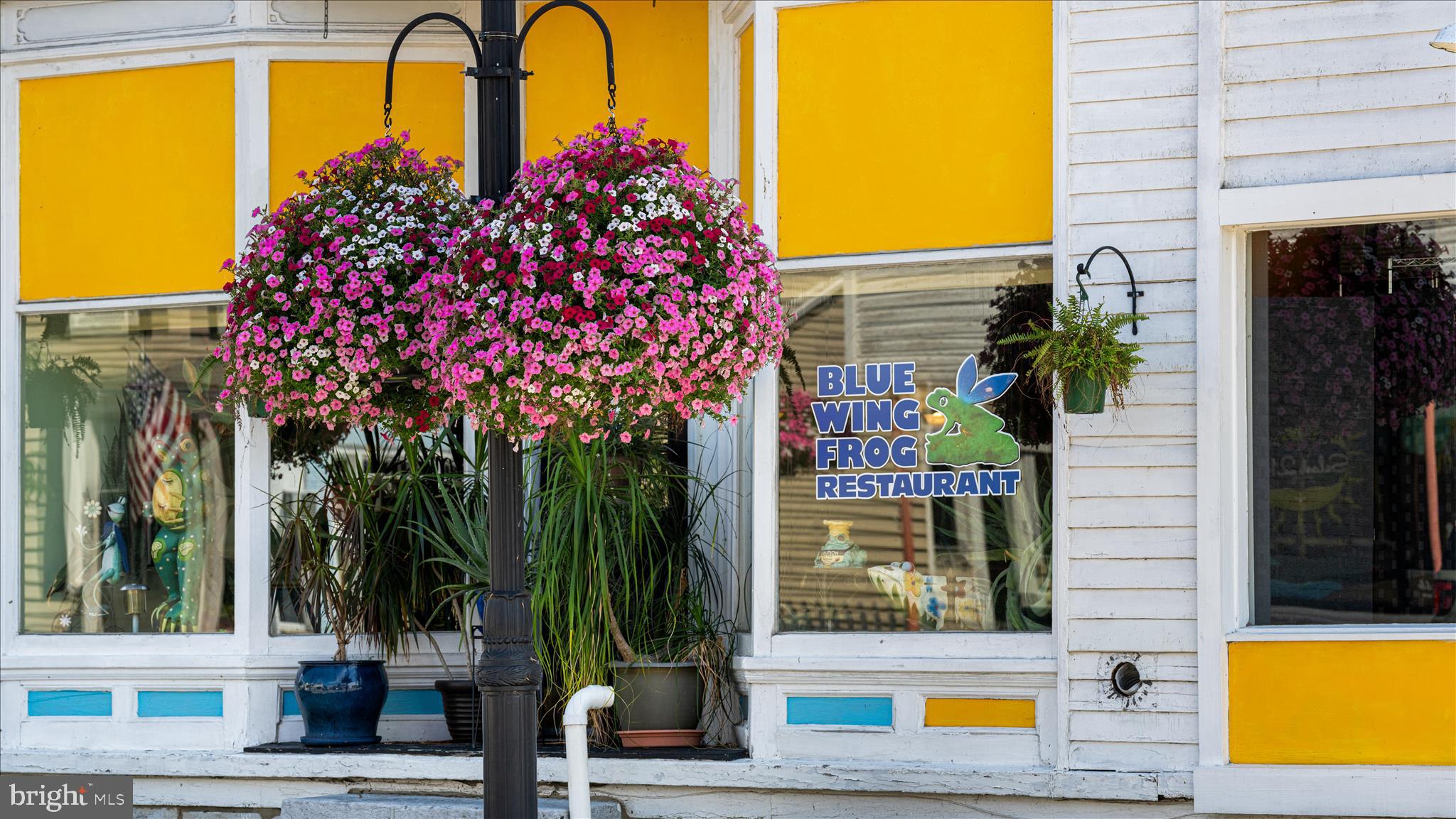 5655 Strasburg Road Strasburg, VA 22657 - Photo 78 of 84 DSC04917_ Strasburg- Absolute Altitude - 7 - 2024