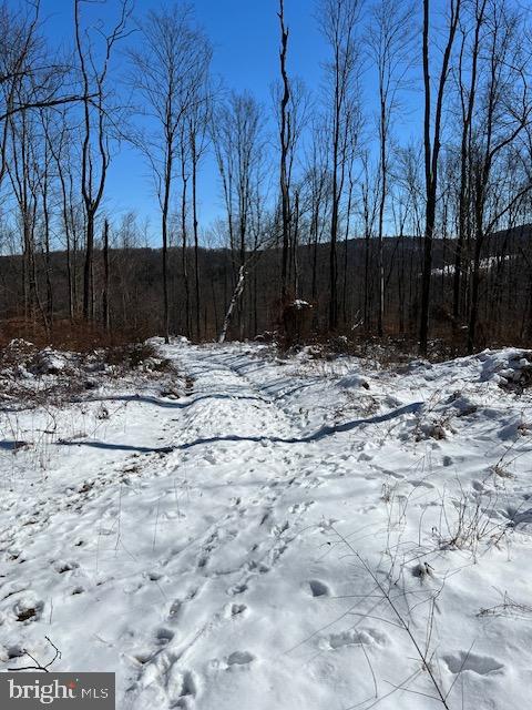 0 Liberty Valley Road Ickesburg, PA 17037 - Photo 1 of 6 Gallery Image 1