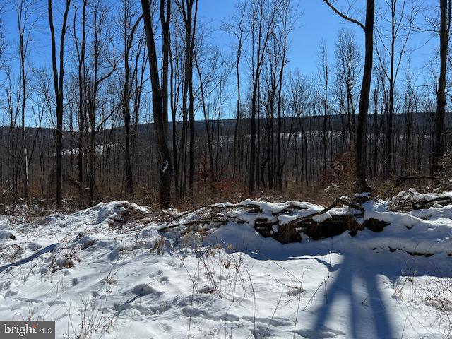 0 Liberty Valley Road Ickesburg, PA 17037 - Photo 2 of 6 Gallery Image 2