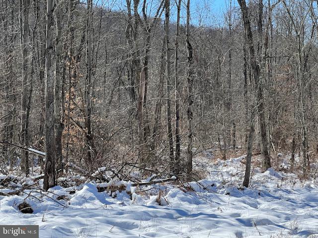 0 Liberty Valley Road Ickesburg, PA 17037 - Photo 4 of 6 Gallery Image 4