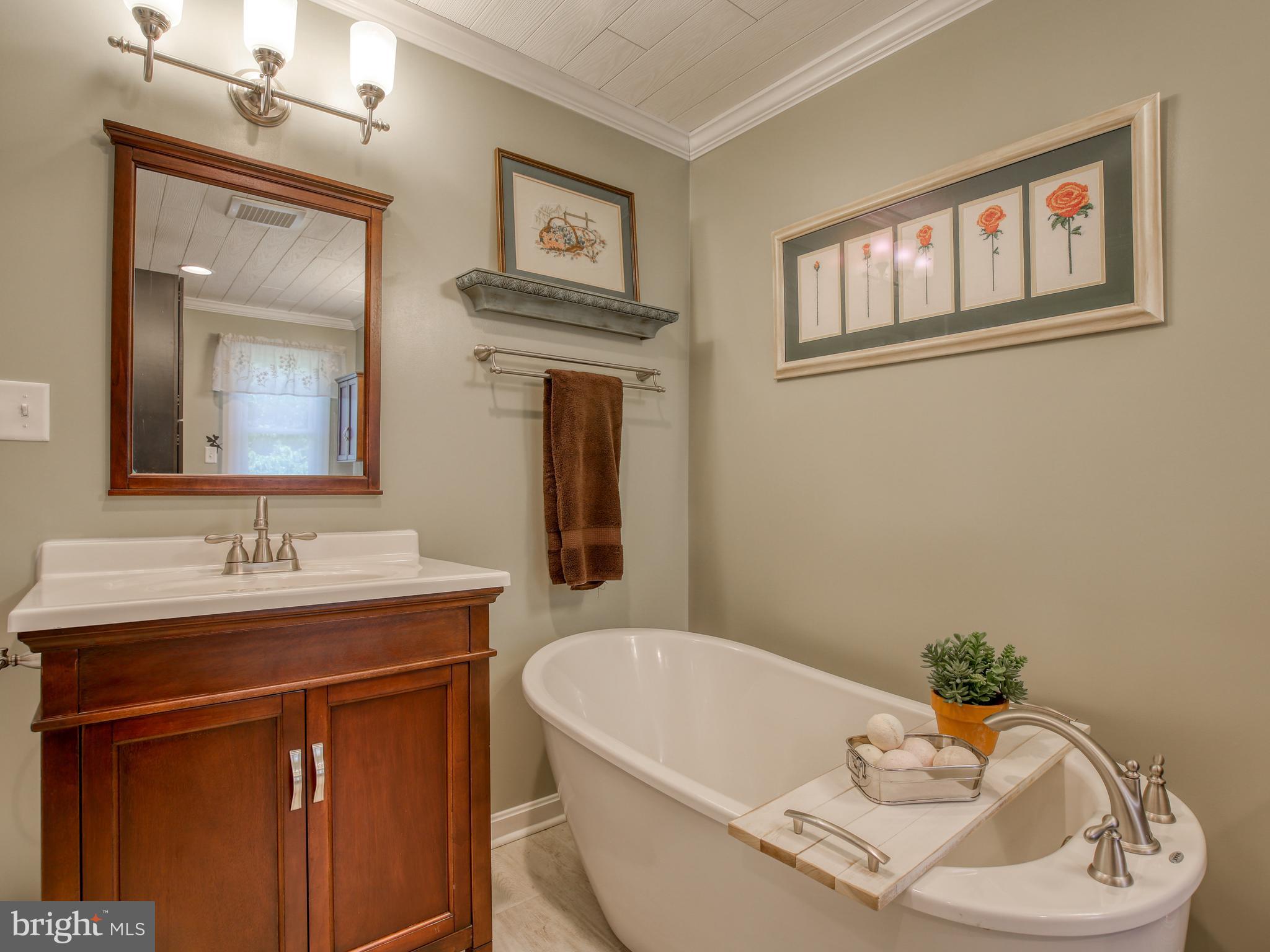 229 High Banks Road Stephenson, VA 22656 - Photo 28 of 63 Hall Bath with freestanding tub!