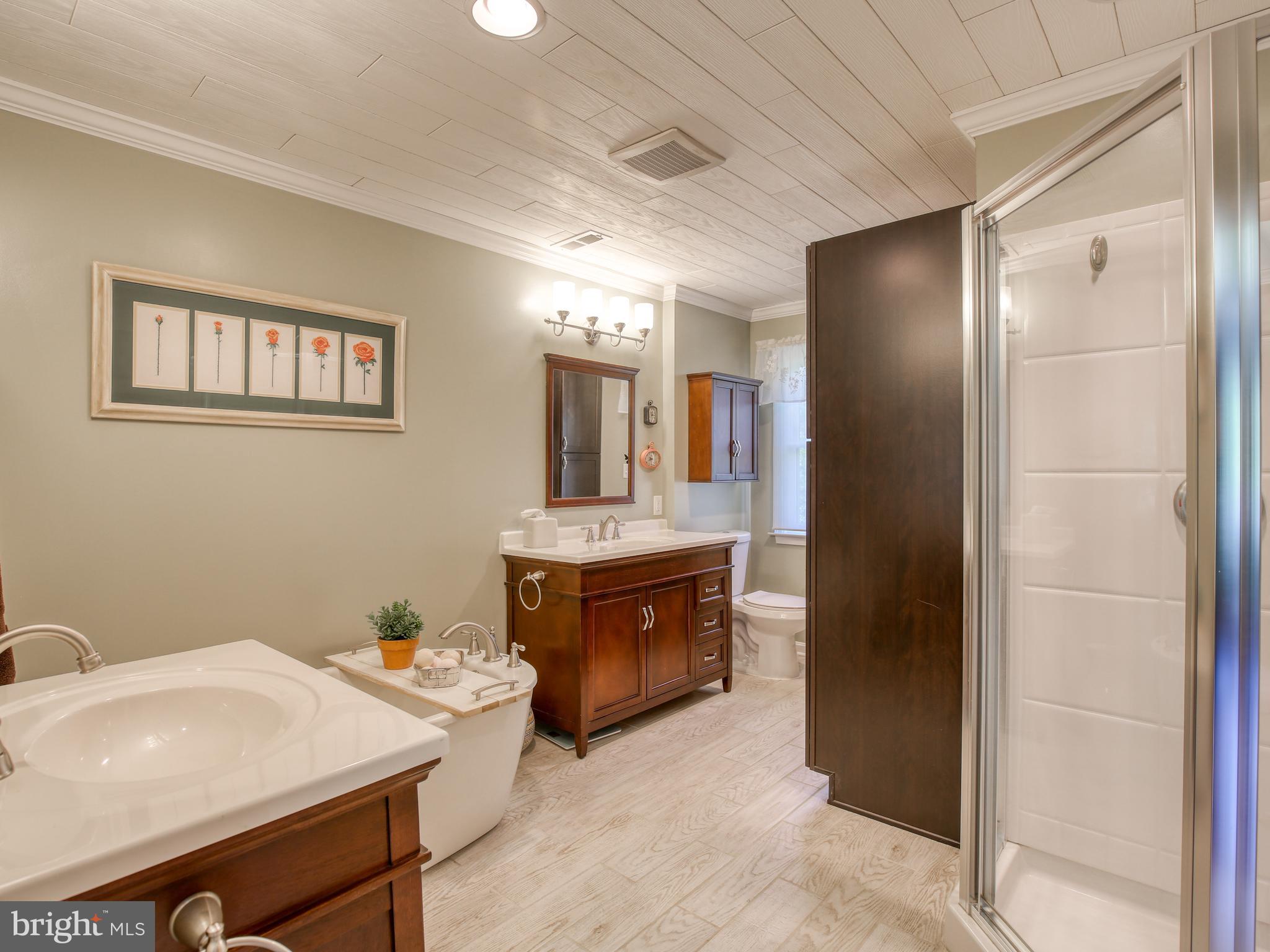 229 High Banks Road Stephenson, VA 22656 - Photo 30 of 63 Separate shower and bath!