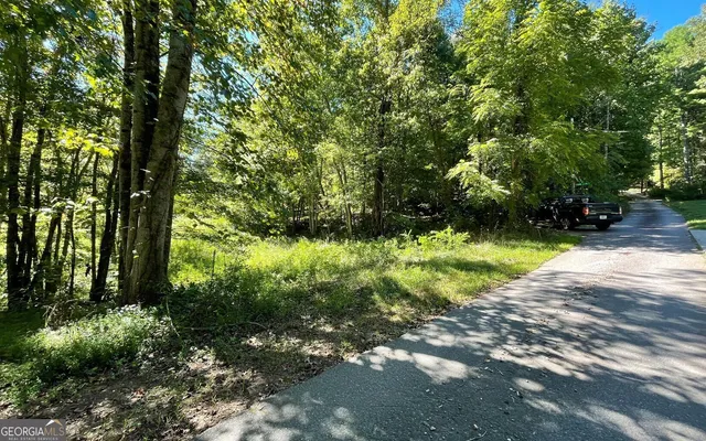 a view of backyard with green space