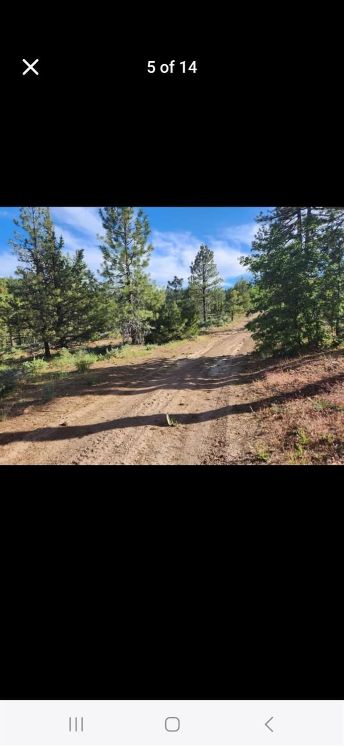 0 Cheney Creek Road Susanville, CA 96130 - Photo 12 of 18 a view of a city