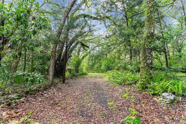 a big yard with lots of green space and deers
