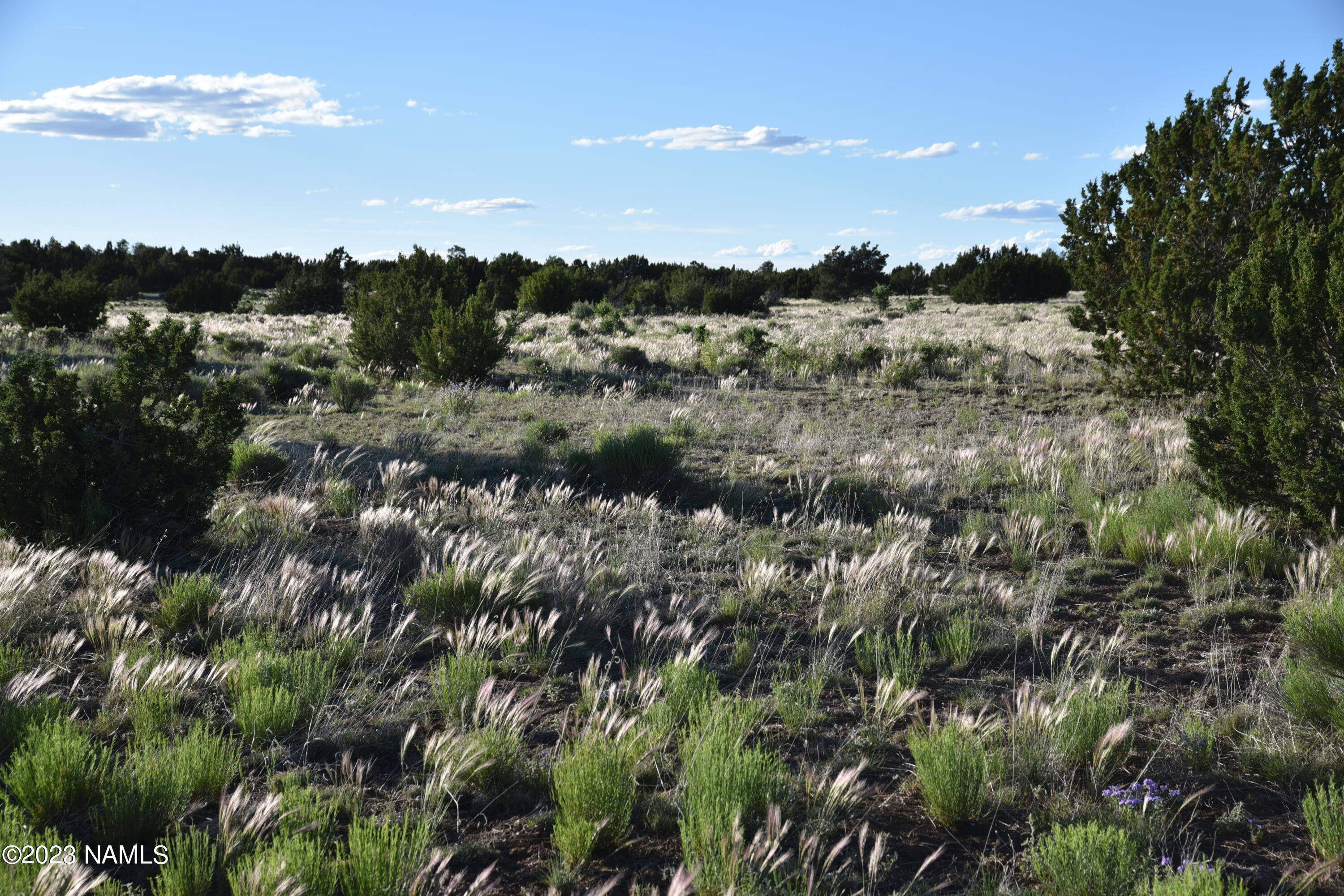 425 Mountain Cat Road Williams, AZ 86046 - Photo 4 of 7 DSC_2629
