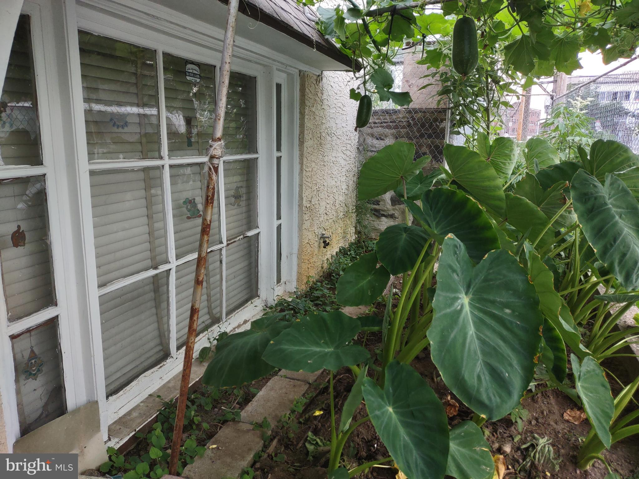 101 Copley Road Upper Darby, PA 19082 - Photo 7 of 36 a backyard with plants