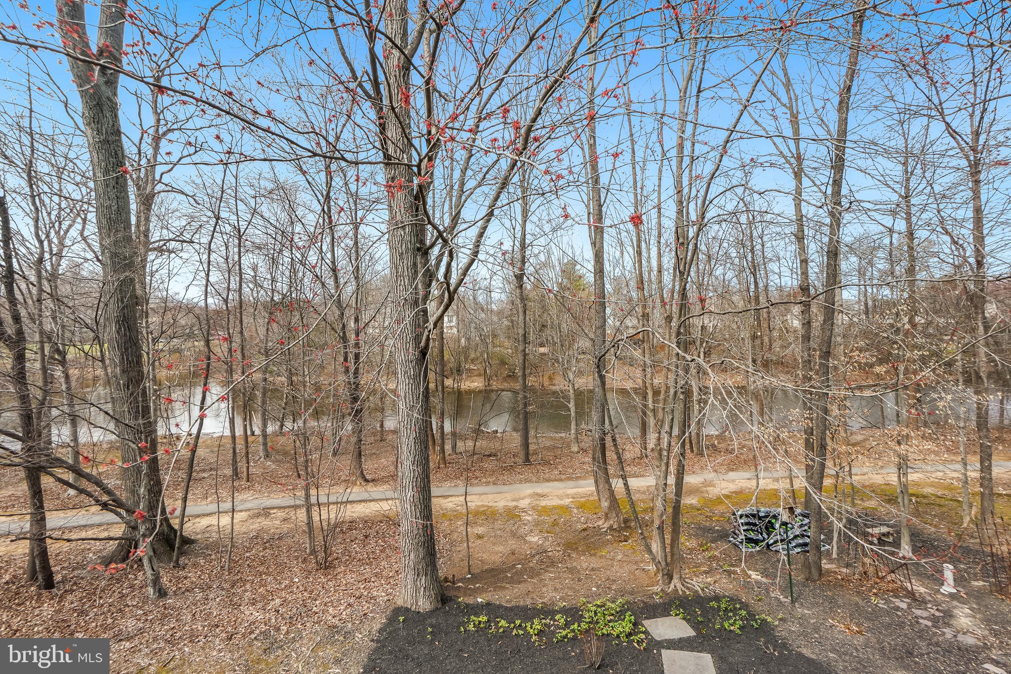 17963 Dumfries Circle Olney, MD 20832 - Photo 37 of 42 a backyard of a house with lots of green space