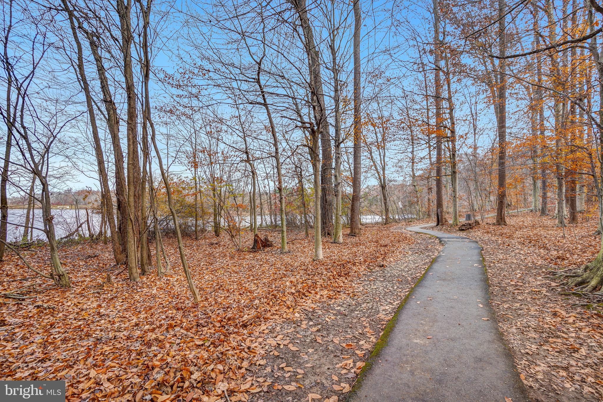 17963 Dumfries Circle Olney, MD 20832 - Photo 38 of 42 a view of a backyard with large trees