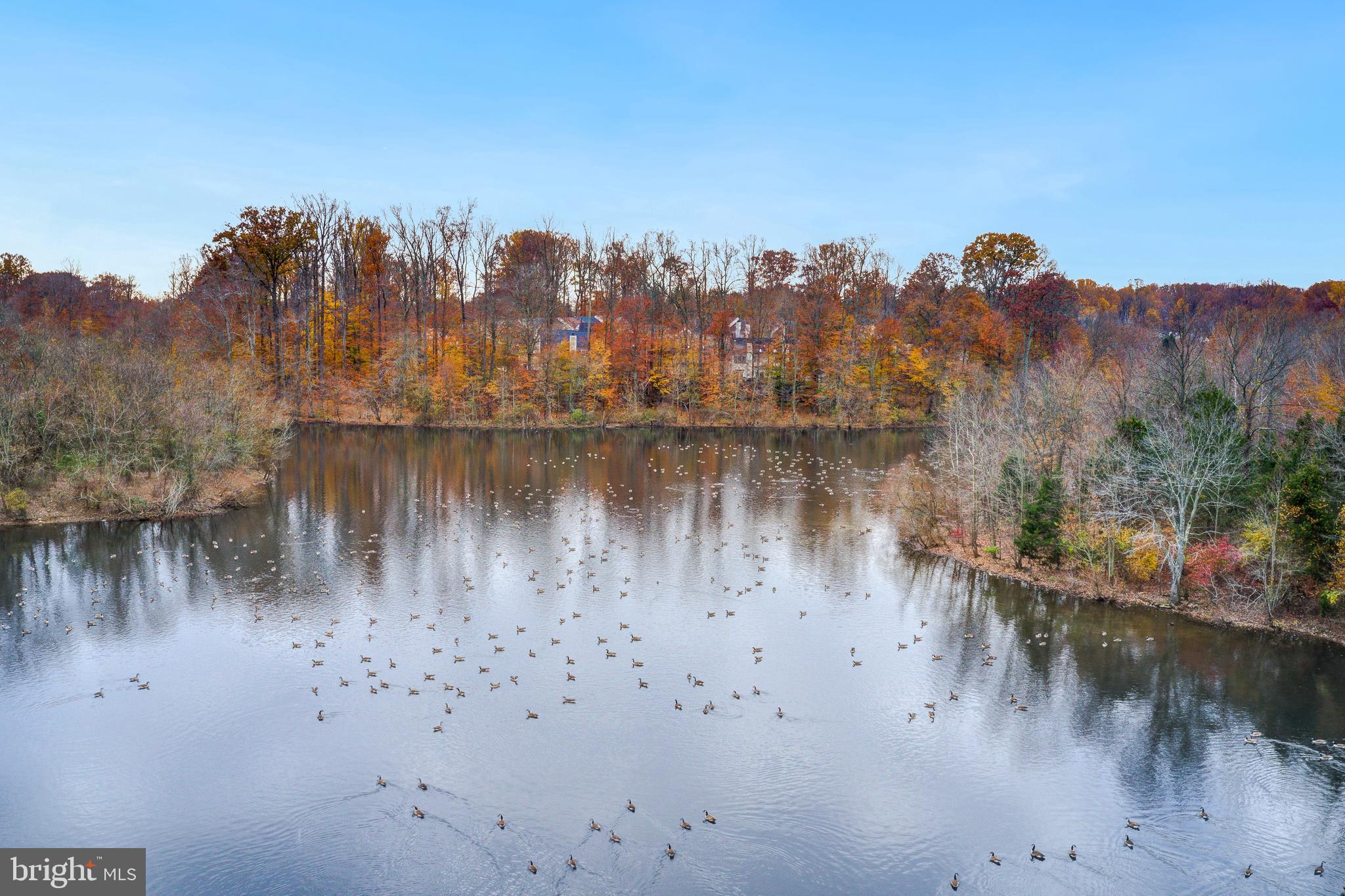 17963 Dumfries Circle Olney, MD 20832 - Photo 42 of 42 a view of a lake with mountain in the background
