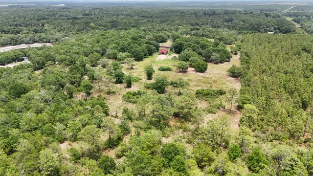 a view of a house with a yard and plants