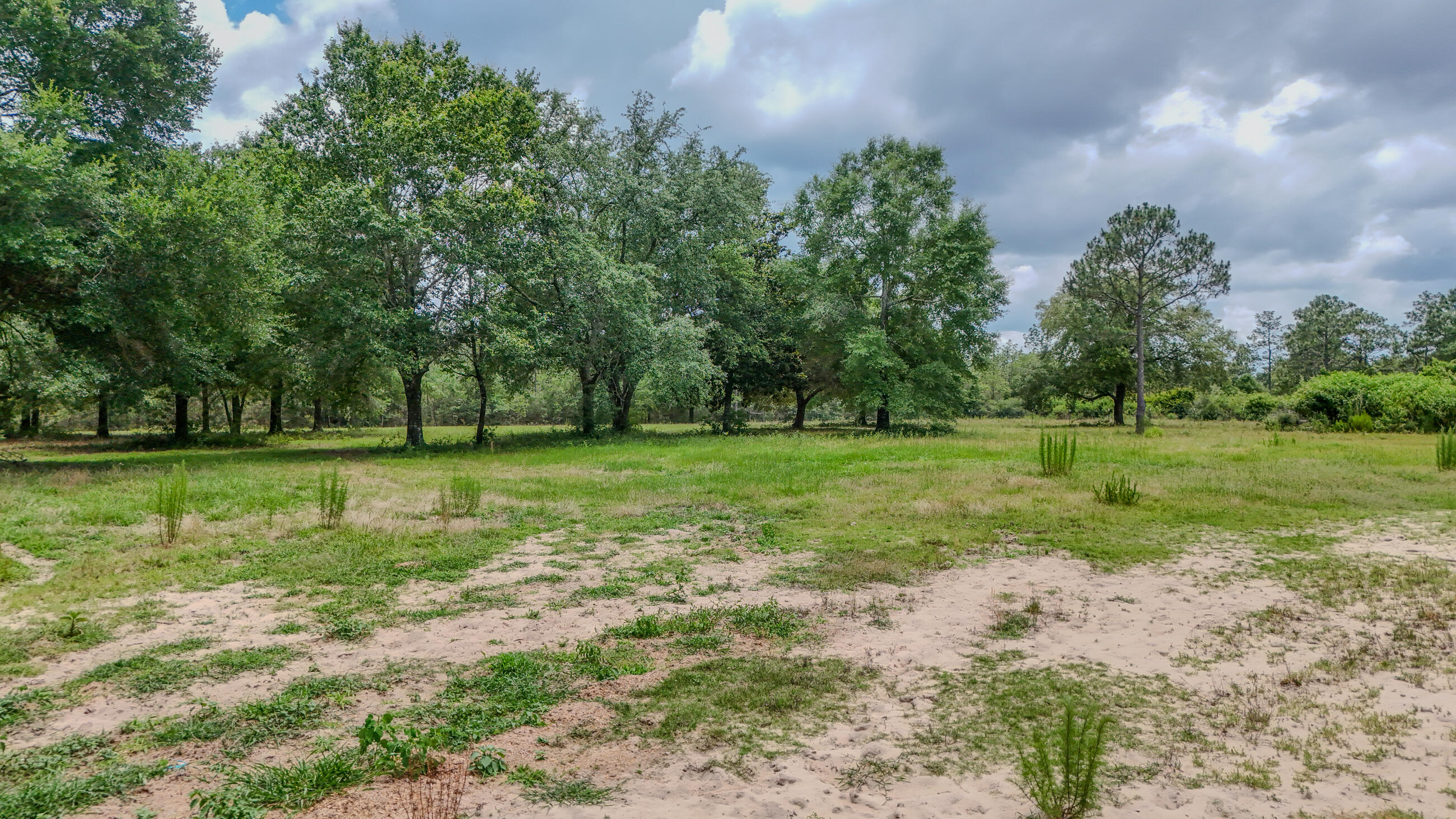 270 Windham Way DeFuniak Springs, FL 32433 - Photo 5 of 51 a view of a park with large trees