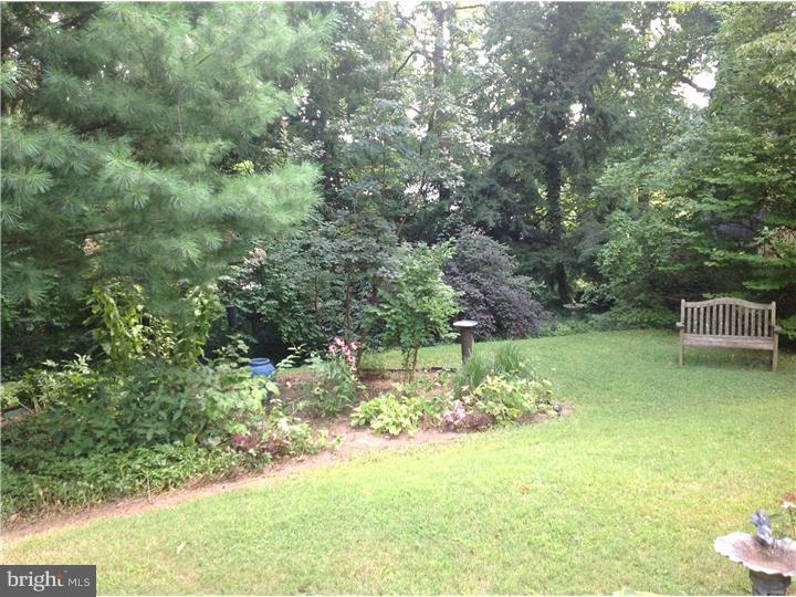 541 Custis Road Glenside, PA 19038 - Photo 14 of 21 Back Yard