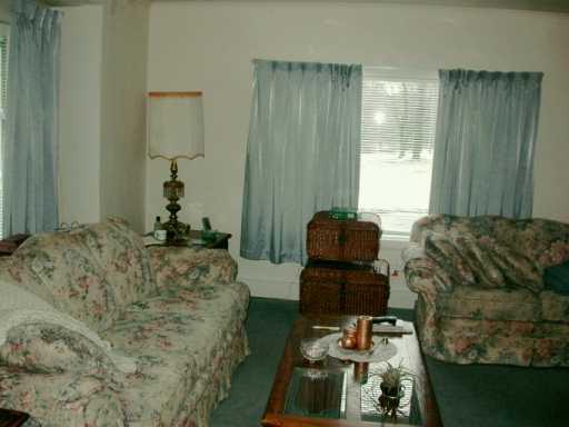 3962 New Castle Road Pulaski, PA 16143 - Photo 4 of 6 Other.