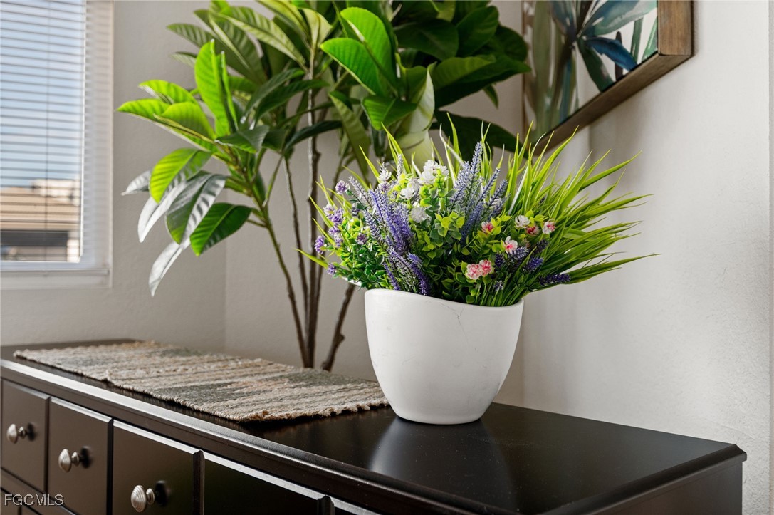 190 Tarpon Road Fort Myers Beach, FL 33931 - Photo 26 of 47 a view of a potted plant sitting on a counter