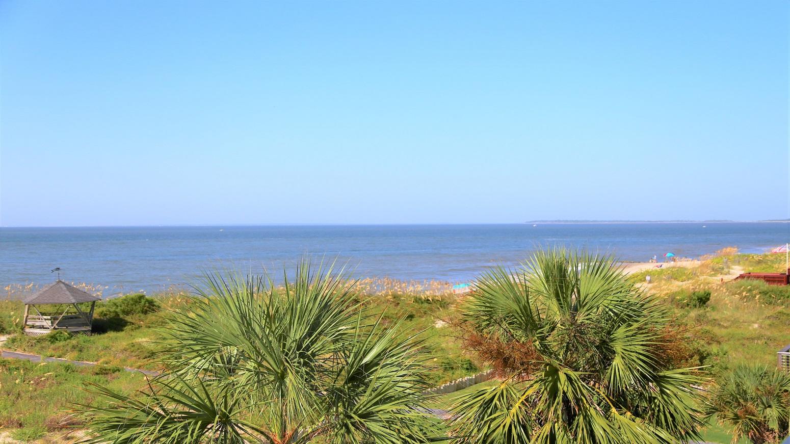 2902 Point Street Edisto Island, SC 29438 - Photo 50 of 83 IMG_3150