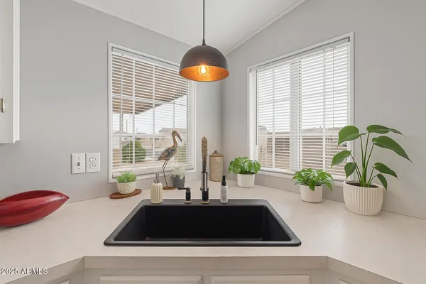 a kitchen sink with a potted plant