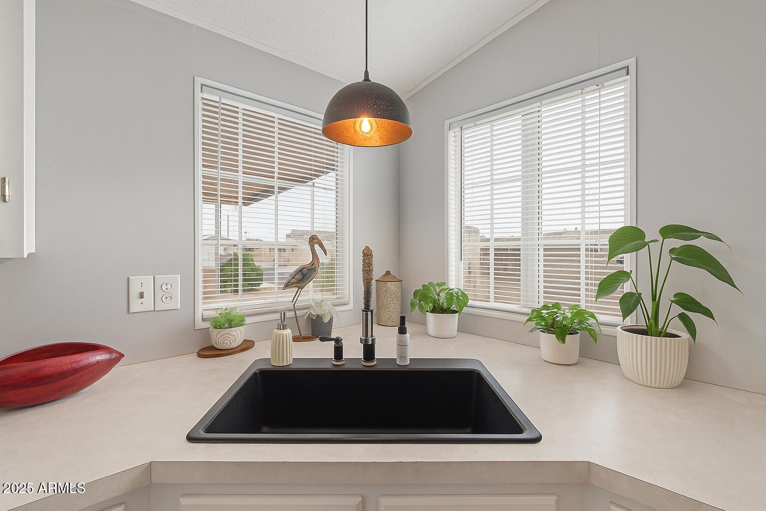 1102 South 114th Street, Unit 72 Mesa, AZ 85208 - Photo 16 of 20 a kitchen sink with a potted plant