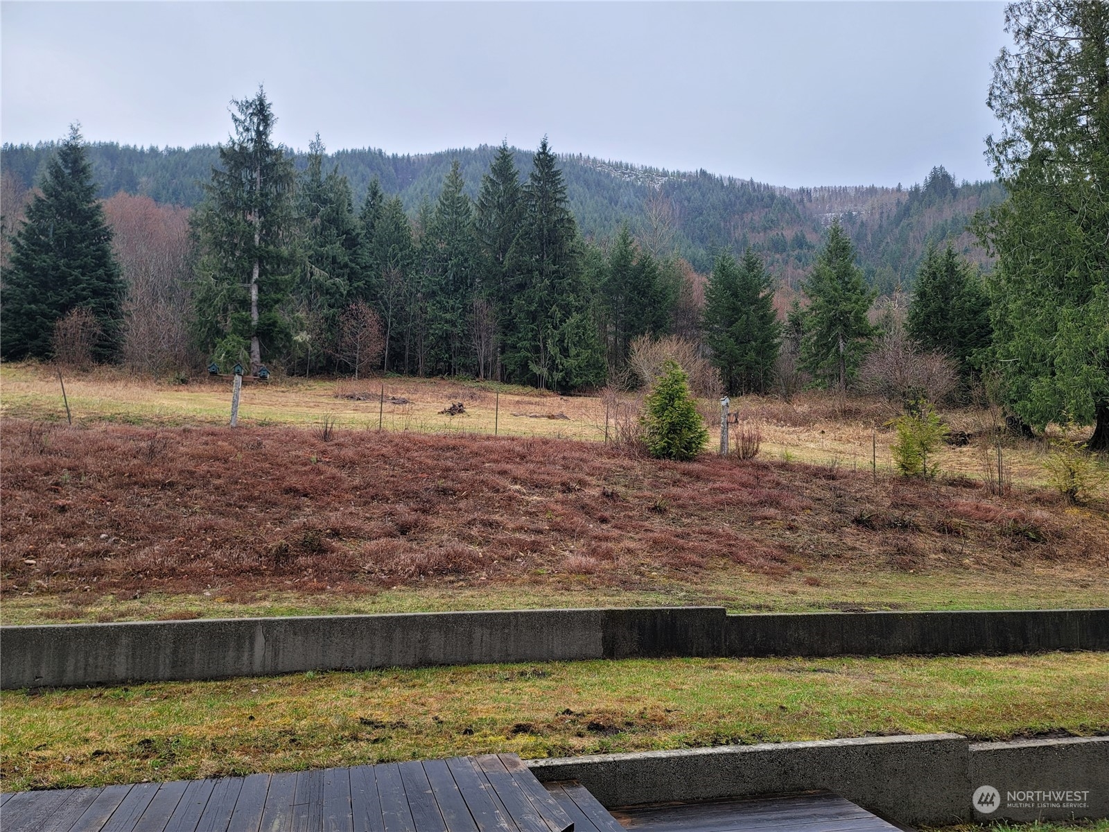 104 Compton Road Morton, WA 98356 - Photo 25 of 35 a view of a yard with a fireplace