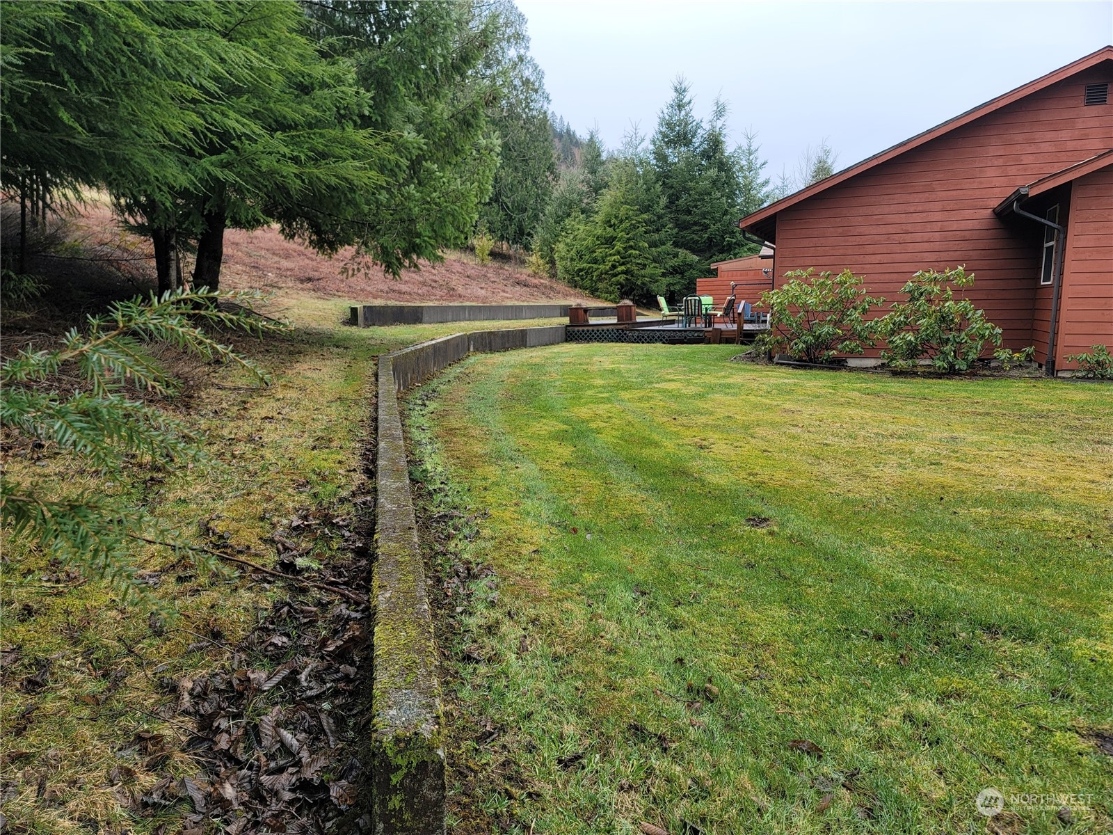 104 Compton Road Morton, WA 98356 - Photo 29 of 35 a view of a backyard with potted plants and large trees