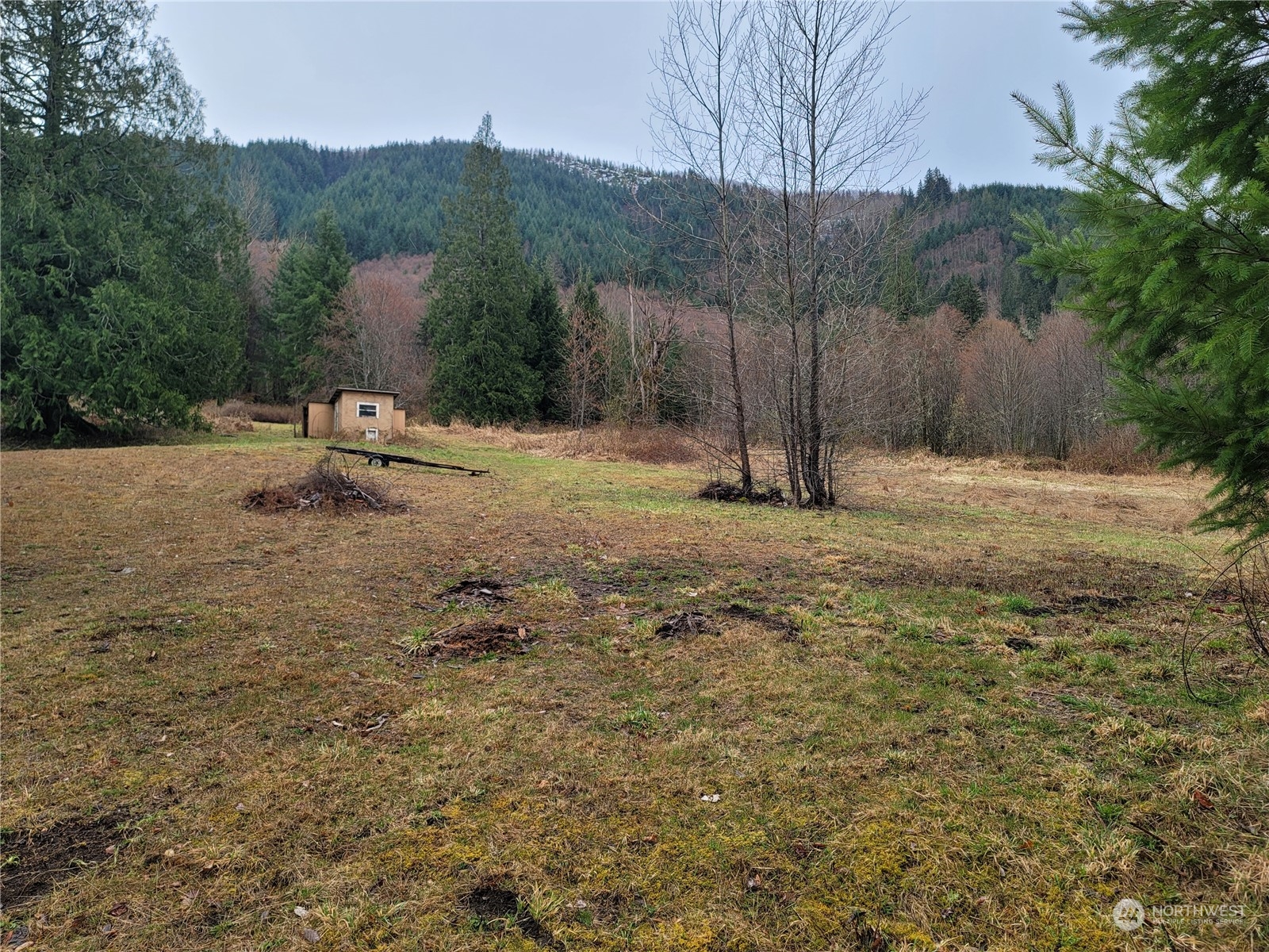 104 Compton Road Morton, WA 98356 - Photo 33 of 35 a backyard of a house with large trees and wooden fence