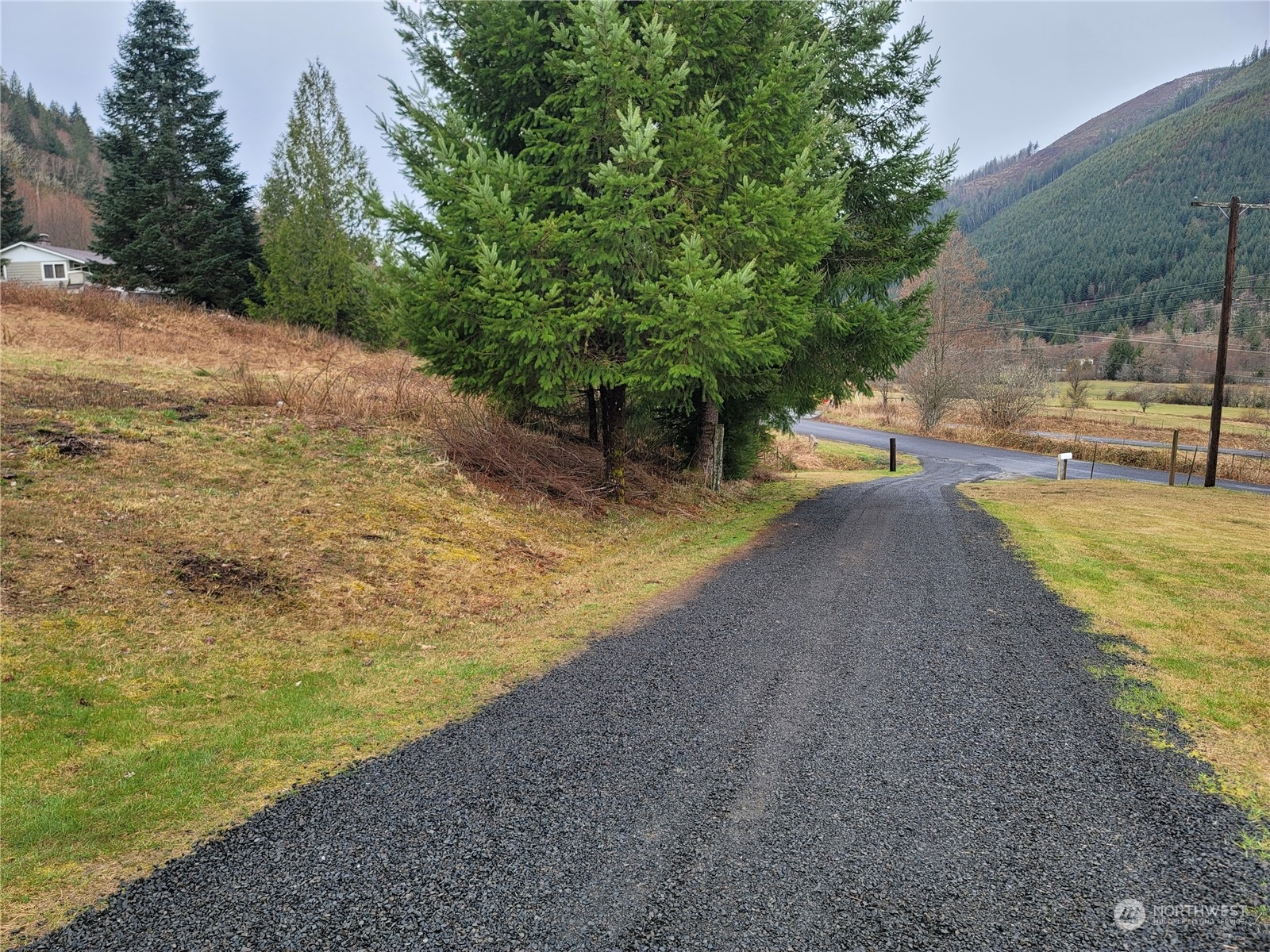 104 Compton Road Morton, WA 98356 - Photo 34 of 35 a view of a yard with swimming pool