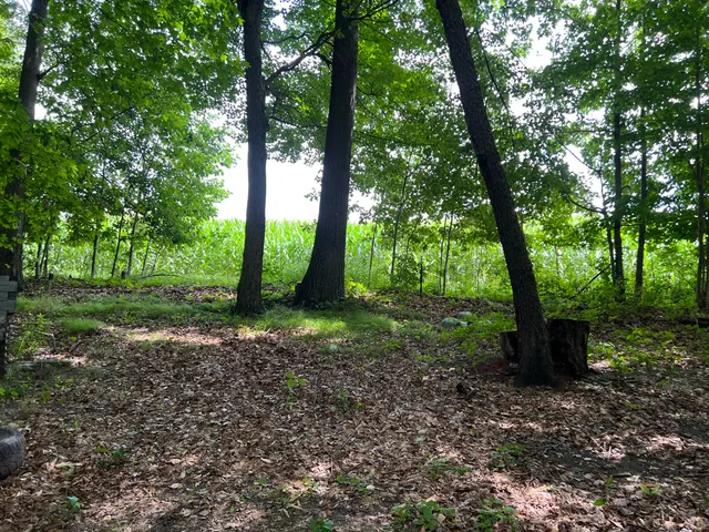 $29,900 | 5092 East Drive, Stanton, MI 48888