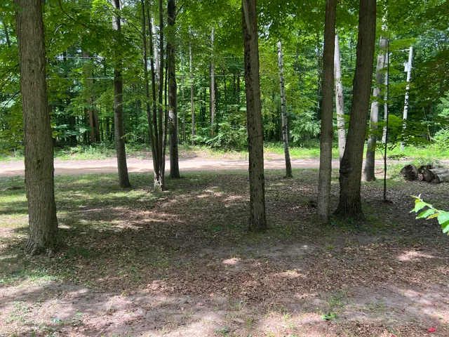 $29,900 | 5092 East Drive, Stanton, MI 48888