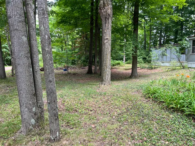 $29,900 | 5092 East Drive, Stanton, MI 48888