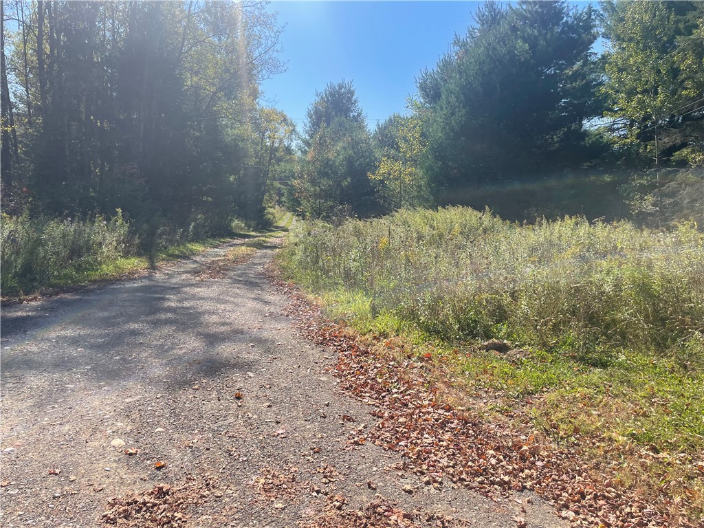 140 Round Pond Road Smithville, NY 13841 - Photo 14 of 34