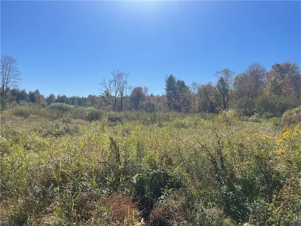 $359,000 | 140 Round Pond Road, Smithville, NY 13841