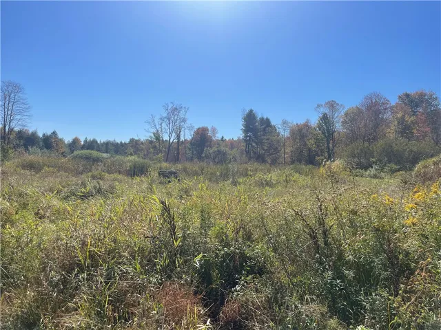 $359,000 | 140 Round Pond Road, Smithville Flats, NY 13841