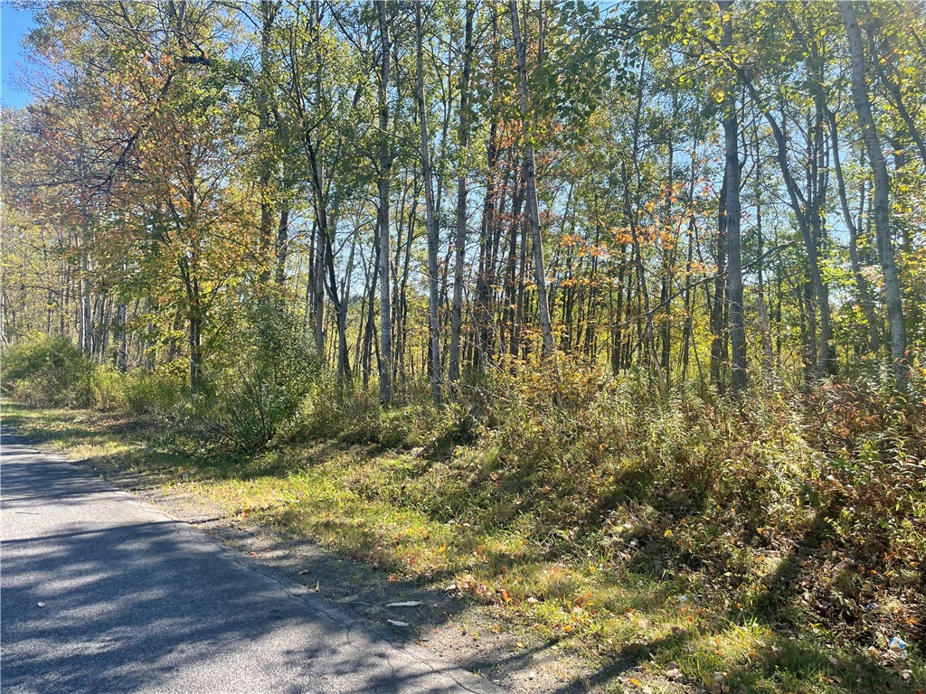 140 Round Pond Road Smithville, NY 13841 - Photo 18 of 34