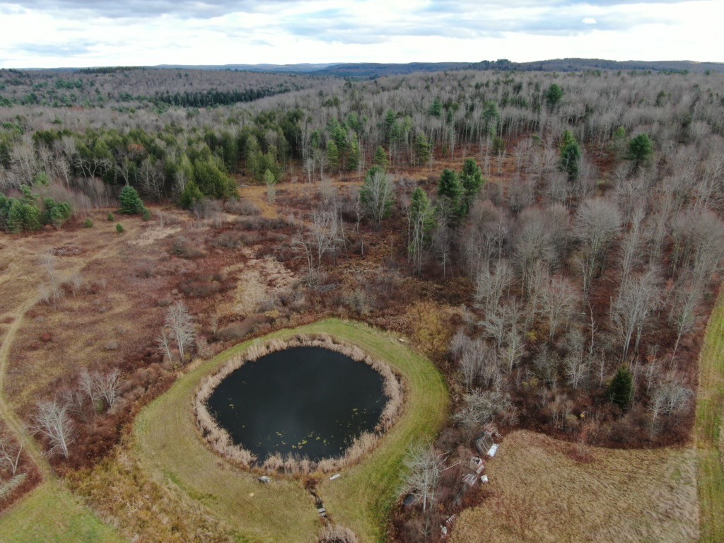 140 Round Pond Road Smithville, NY 13841 - Photo 19 of 34