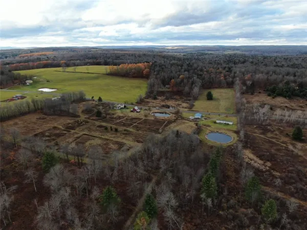 $359,000 | 140 Round Pond Road, Smithville, NY 13841