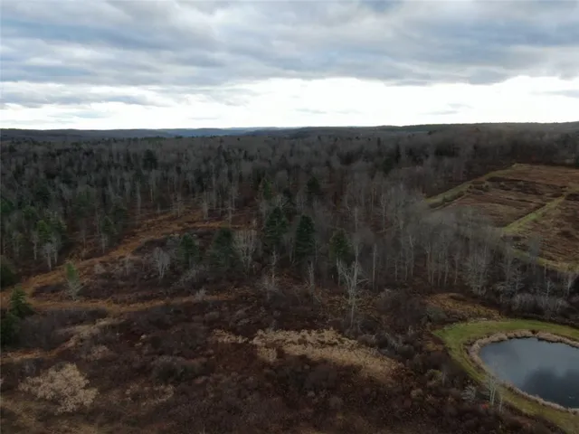 $359,000 | 140 Round Pond Road, Smithville Flats, NY 13841