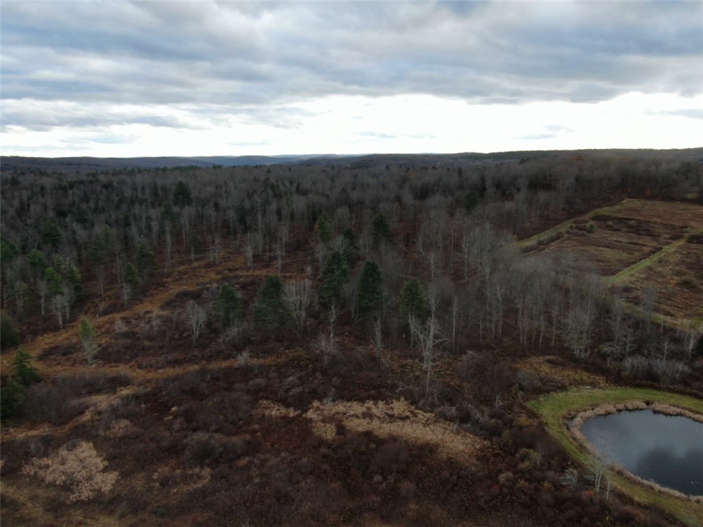 140 Round Pond Road Smithville, NY 13841 - Photo 23 of 34