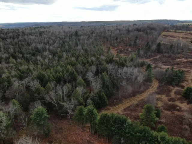 $359,000 | 140 Round Pond Road, Smithville Flats, NY 13841