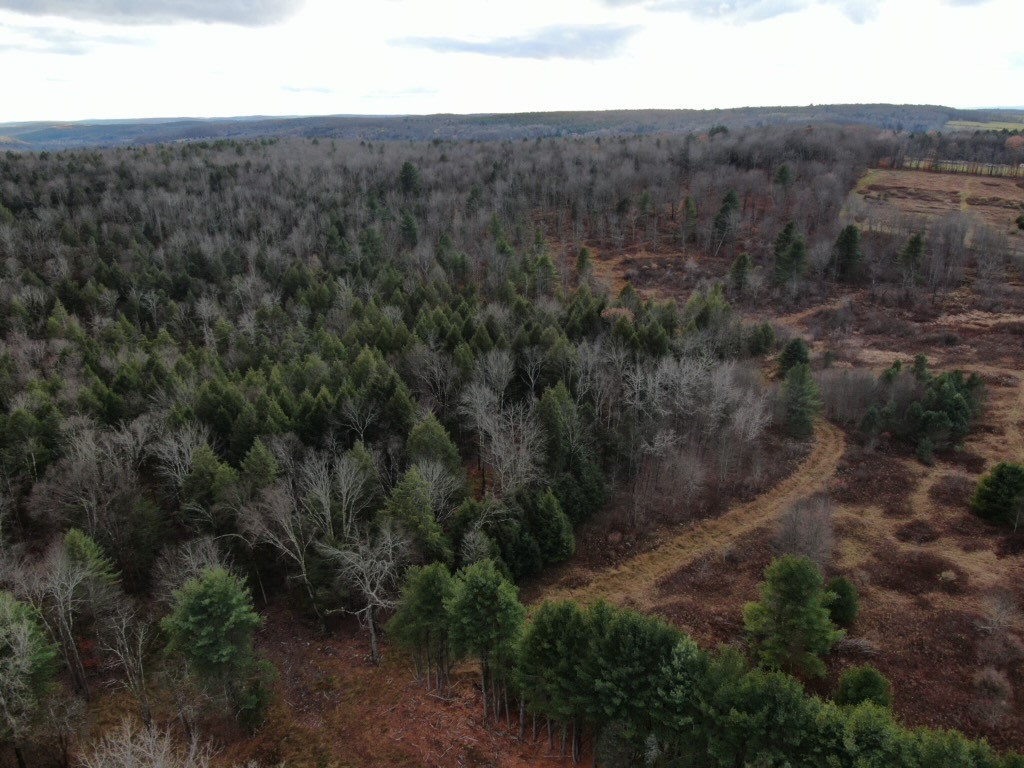 140 Round Pond Road Smithville, NY 13841 - Photo 24 of 34